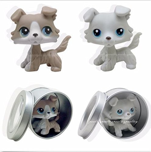 lps gray collie