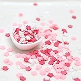 100g Mixed Color Clay Chocolate Sprinkles Heart Shaped DIY Parts Fake Cake Decorating Polymer Clay Sweets Deco Fimo Decoration (B)