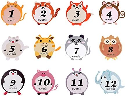 Baby  Milestone Stickers - Baby Monthly Stickers for Boys or Girls - First Year Baby Stickers -Baby Onesie Stickers for Baby Milestones - by Alganori (TM)
