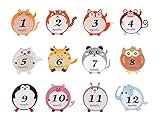 Baby Monthly Stickers-Monthly Baby Stickers for Boy or Girl- Month Stickers for Baby-Baby Onesie Stickers-Baby Milestones-By Alganori(TM)