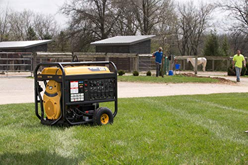rp12000e portable generator