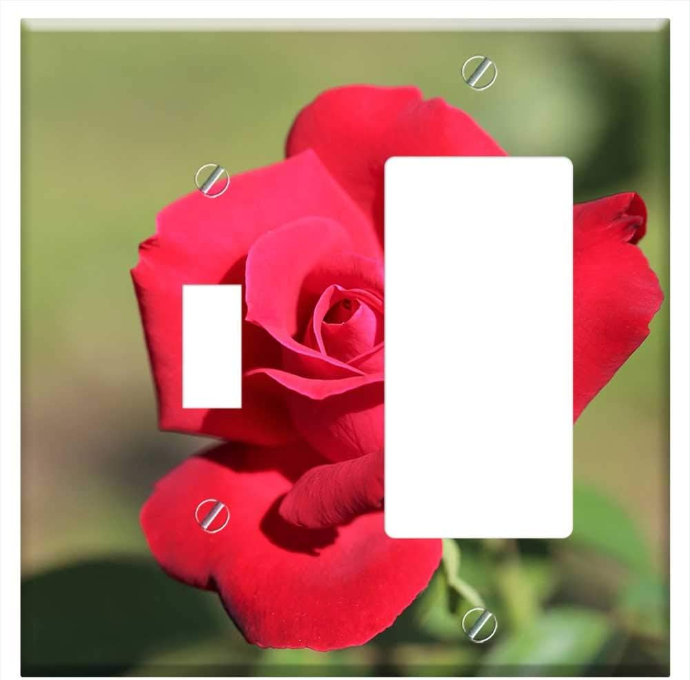 1 Toggle 1 Rocker Gfci Combination Wall Plate Cover Red Rose