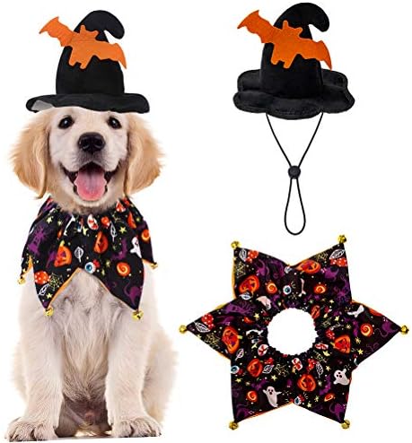 costume dog collar