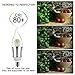 LED Candelabra Bulbs;HAIDEXI new version brighter chip 8 pack LED Candle Bulb E12 9W LED Lights, Chandelier, 80 Watt Light Bulbs Equivalent Incandescent Daylight White 6000k,Flame Tip