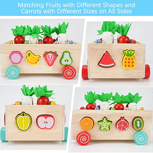 Wooden Montessori Toys for 2+ Year Old Baby Girls Boys Gift