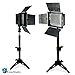 LimoStudio 2PC LED 160 Photographic Lighting Kit, Photo Studio Barndoor Light, Continuous Video Light, AGG1274