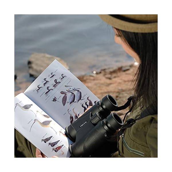 CJSWT Ferngläser für Erwachsene, 10x42 Compact HD Fernglas mit Low Light Night Vision für Vogelbeobachtung Jagd Wandern… – Bild 4