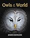 Owls of the World