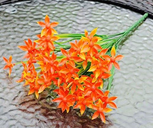 Five Disc Simulation Flower Lucky Grass The Pentagon Pin-Points Of Greenery Home Decoration To The Hotel Guest Room