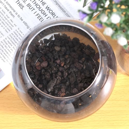 JOHOUSE 2.5 LB Black Horticultural Lava Rocks, Lava Rocks for Plants Natural Horticultural Volcanic Rocks for Succulents Bonsai Vase Fillers Garden