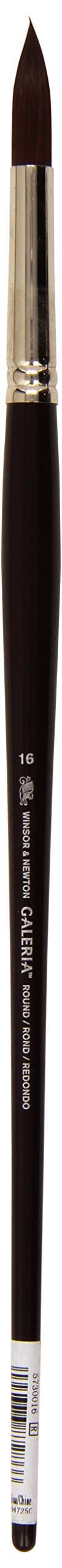 Winsor and Newton Galeria Brush Long Handle Round No 16 (Each)