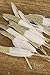 Ling's moment 50 pcs Natural White with Champagne Glitter Sparkle Goose Feathers In Bulk for Home Craft Party Wedding Party Birthday Baby Bridal Shower Bedroom Decoration with a Stylus White