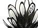 Moonlight Feather | 1 Dozen - Natural White Whiting Farms Laced Hen Saddle Feathers Fly Tying Craft Halloween Supply