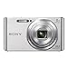 Sony DSCW830 20.1 MP Digital Camera with 2.7-Inch LCD (Silver) (Silver w/case)