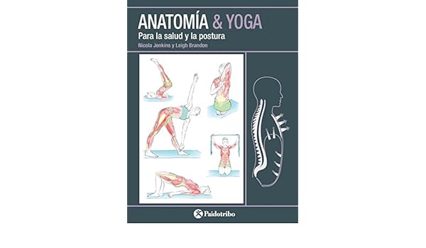 Resultado de imagen para Anatomía & yoga de Nicola Jenkin y Leigh Brandon
