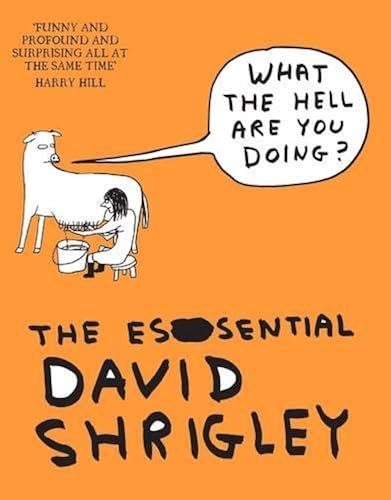 Download What the Hell Are You Doing?: The Essential David Shrigley PDF