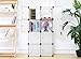 C&AHOME - DIY 8 Cube Organizer Storage Cabinet Wardrobe Closet with Door, Semitransparent