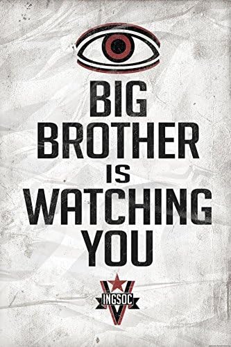 Big Brother is Watching You 1984 INGSOC Political Art Print 24 x 36in