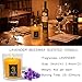 XYUT Lavender Scented All Natural 100% Pure Beeswax Aromatherapy Candle Made with Essential Oil, 4 oz – Great for Home Bathroom Living Room Office Study Yoga Spa-Pack Set of 2 Candlesthumb 2