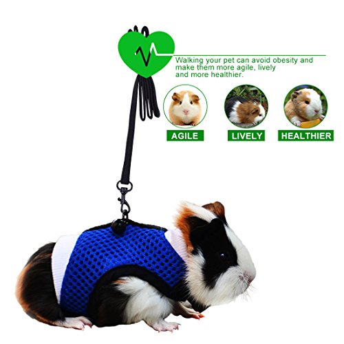 3 PERSUPER+Harness+Comfort+Durable+Adjustable