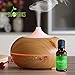 Best Peppermint Essential Oil By Sky Organics-100% Organic, Pure Therapeutic Grade Peppermint Oil-For Diffusers, Aromatherapy, Massage, Allergies, Headaches -Aroma Scented Oil For Candles & Bath 1oz