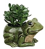 Nature's Garden Porcelain Frog Planter