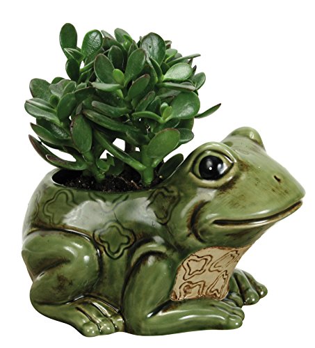 Nature's Garden Porcelain Frog Planter