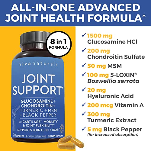 Glucosamine Chondroitin MSM Joint Supplement with Turmeric, Black