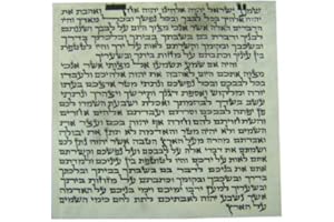 ONLY KOSHER CANDY Kosher 10cm Mezuzah Scroll 4 Inch klaf Mezuza Parchment - Elegnat Written