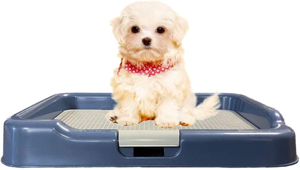[DogCharge] Indoor Training Dog Potty Tray Protection