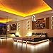 LEDJump Bright High Power Ouput Lumen Flexible 300 LED Light Strip Ribbon 16 Ft 5 Meter 3M Tape Warm White 2500-2700k 12V Dimmable Tape Light