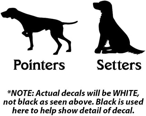 pointers and setters