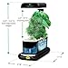AeroGarden Sprout with Gourmet Herb Seed Pod Kit, Black