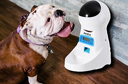 petcul automatic feeder