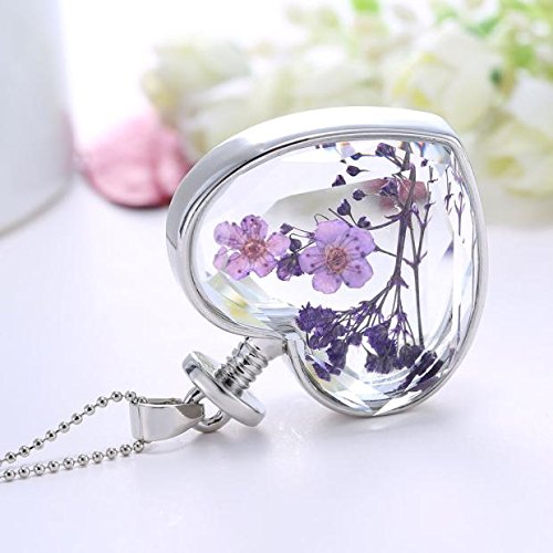 Clearance Women Necklace Daoroka Fashion Dry Flower Love Heart Glass Bottle Pendant Necklace Forget Me Not Valentines Gift For Girlfriends (E) - Thumbnail 3