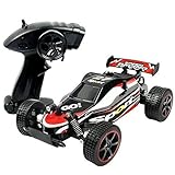 SZJJX RC Cars Rock Off-Road Vehicle Crawler Truck 2.4Ghz 2WD High Speed 1:20 Radio Remote Control Racing Cars Electric Fast Race Buggy Hobby Car SJ211 Red