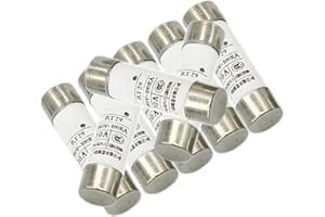 IBYZSO 20PCS R014 380V 8.5 * 31.5mm Ceramic Tube Fuse RT19,2A