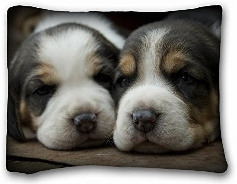 Elroy Carpenter Animals Dogs Puppies View Throw Pillow Case Cushion Covers 20X26 Inch