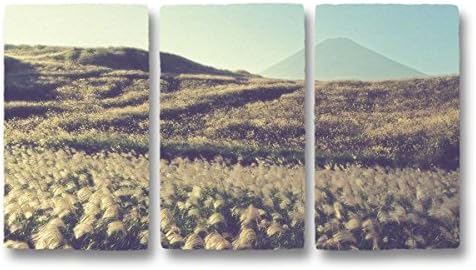 Artwork "Mt.Fuji and shining pampas grass" x3c art printed on Japanese traditional paper "WASHI", gifts of beautiful wall decor deco decorations as landscape photography posters prints