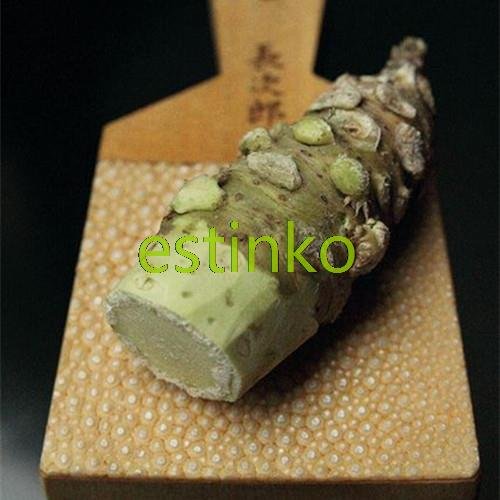 Loss Promotion! Wasabi Seeds 100pcs/bag Japanese Horseradish Seeds