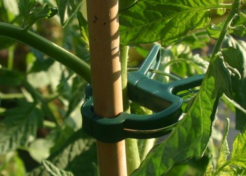 Happy Hydro Small Plant Clips for Supporting Your Garden - 100 Pack