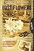 Lost Flowers: True Stories of the Moonshine King, Percy Flowers by Perry D. Sullivan