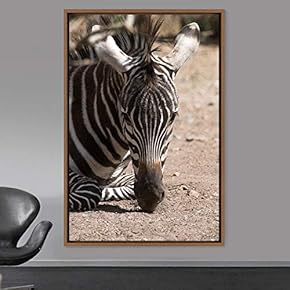 signwin Framed Canvas Wall Art Zebra Animals Dramatic...