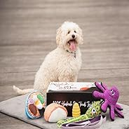 BoxDog - 4 Giant Seasonal Dog Boxes per Year Filled With Handmade Treats, Vegan Skincare, Dog Toys, Gear & Gadgets: Tough Ch