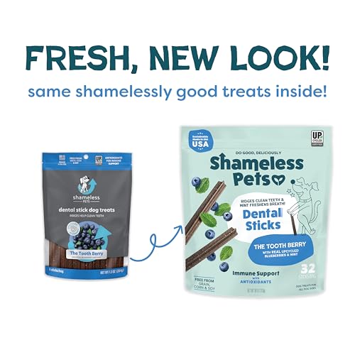 SHAMELESS PETS BLUEBERRY & MINT DENTAL CHEWS FOR DOGS, 32 CHEWS – NATURAL DOG TEETH CLEANING TREATS WITH FRESH BREATH BENEFITS | GRAIN-FREE DENTAL STICKS FOR SMALL, MEDIUM & LARGE DOGS