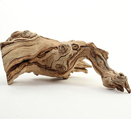 Koyal Wholesale Natural Grapewood Vine Branch, 6-Inch