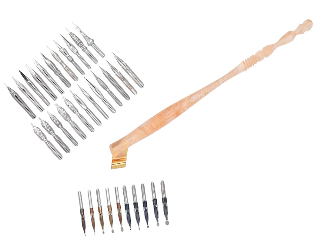 Gullor Oblique Calligraphy Dip Pen Nib Holder, Removable Nib Pen Handle Stand with 33 Nibs, Cherry Blossoms