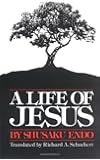 A Life of Jesus
