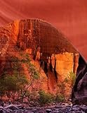 Zion National Park by Wild Pages Press
