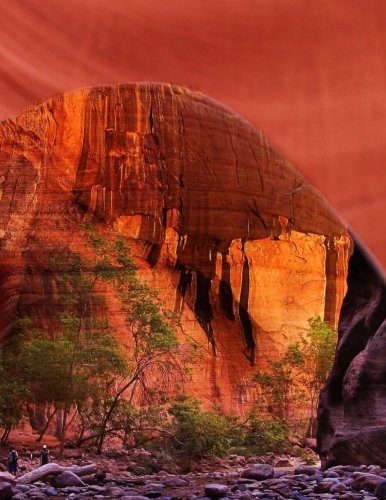 Zion National Park by Wild Pages Press